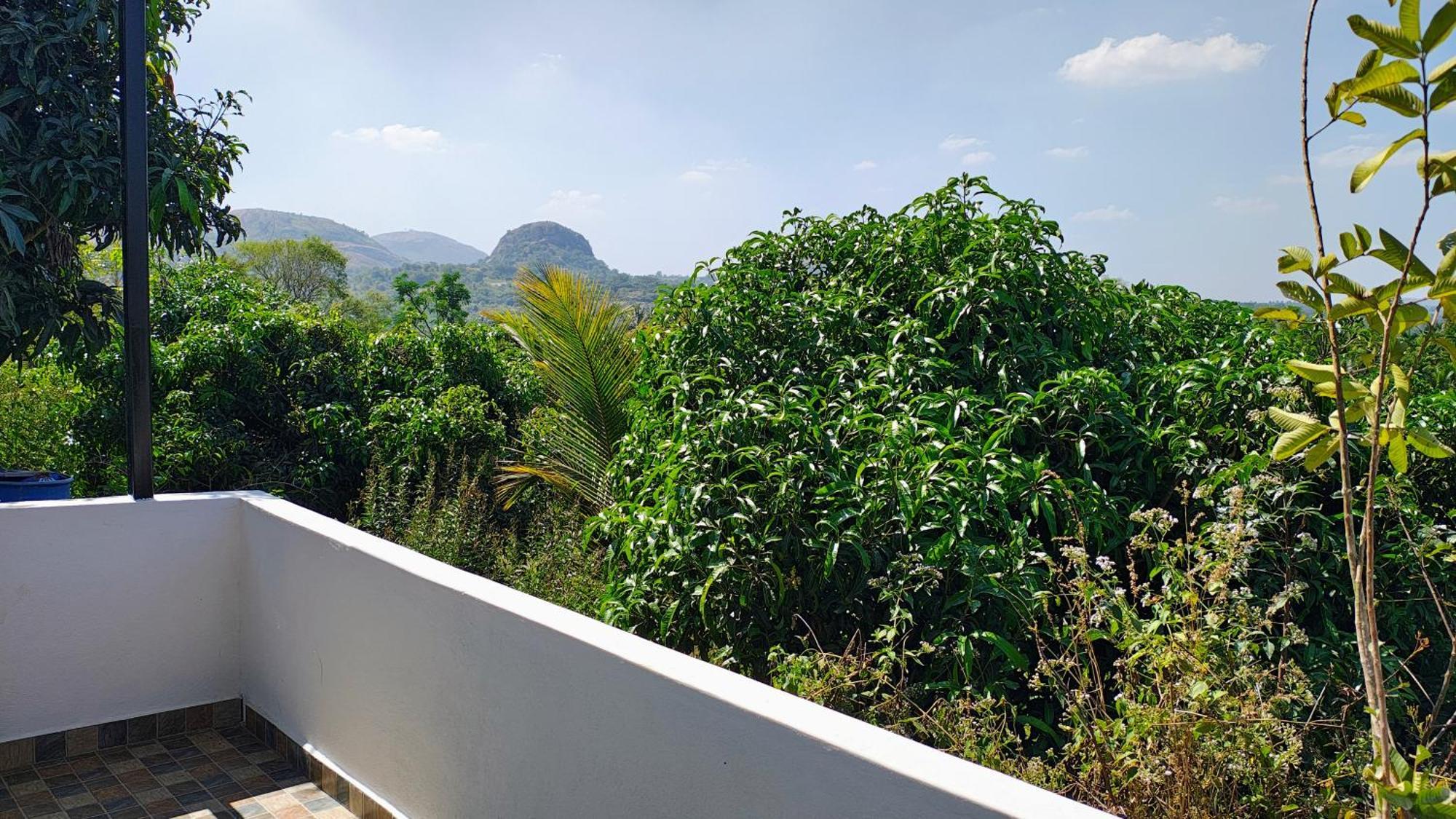 Rabbit Hill Farm Villa Bangalore Esterno foto